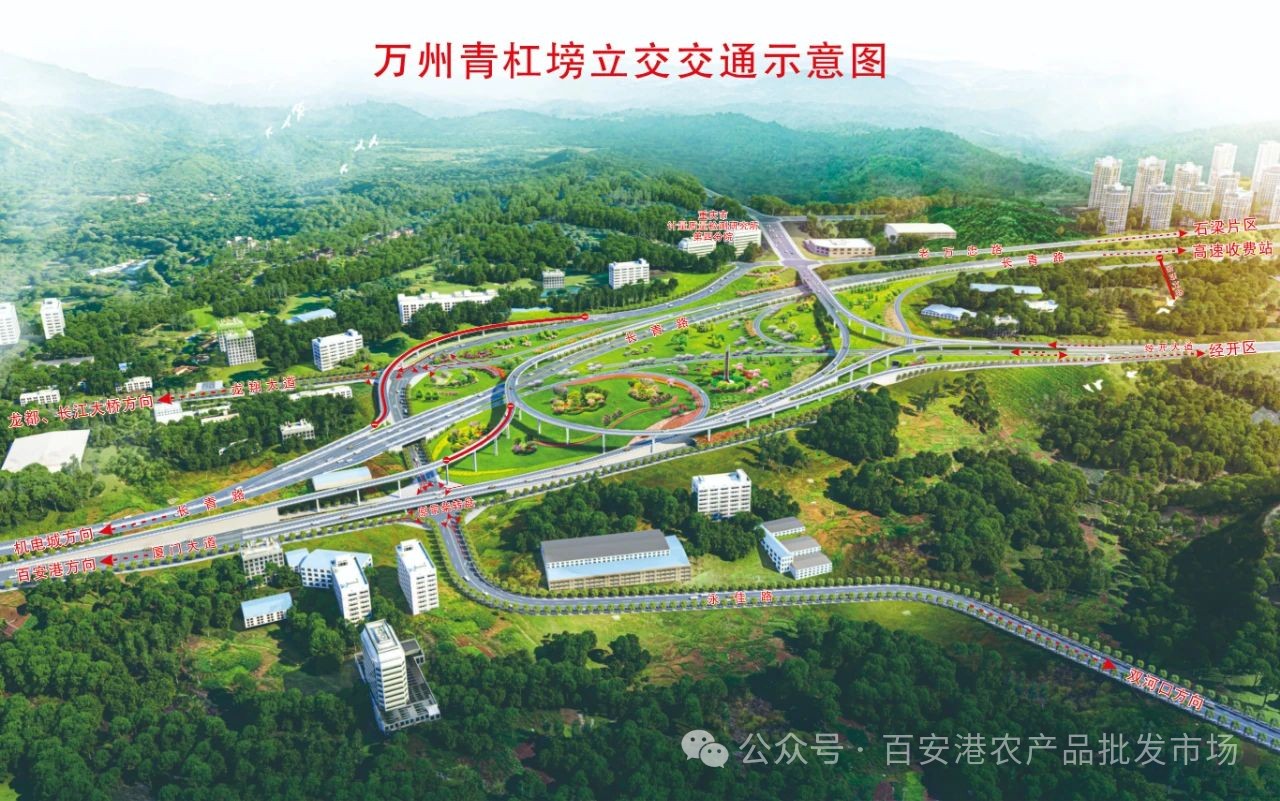 2月1日青杠塝立交通車啦，出收費站后直達百安港農(nóng)產(chǎn)品批發(fā)市場！